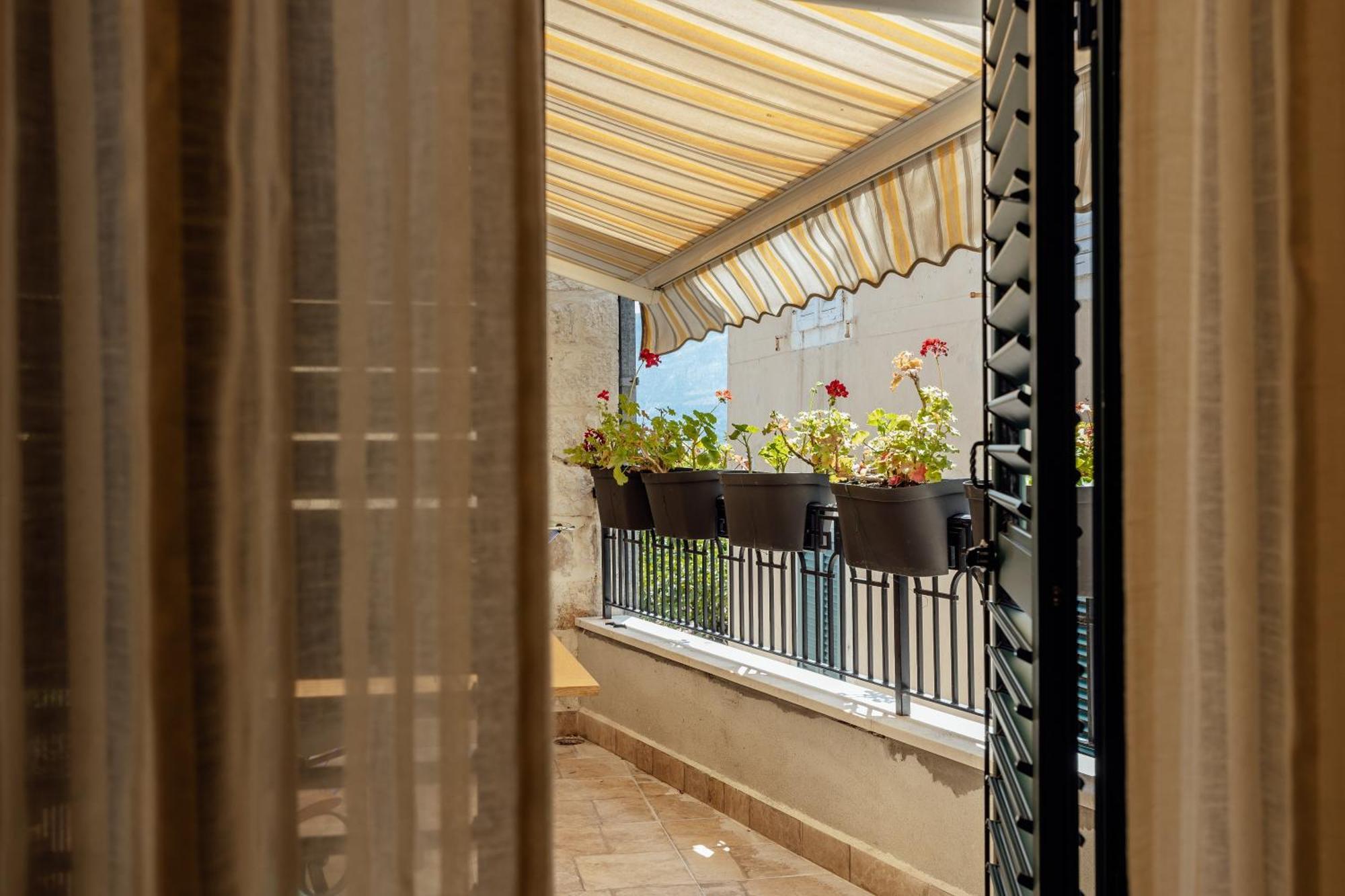 Guesthouse Villa Stari Grad Herceg Novi Dış mekan fotoğraf
